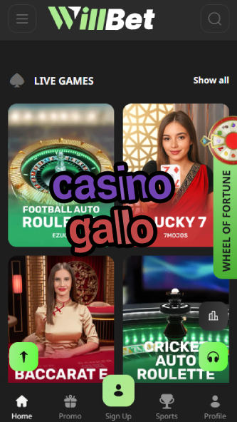 Casino Gallo - Premium Spanish Rooster-Themed Casino-www.bdqngd.com